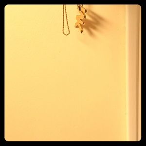 18" gold rope chain, custom Michael kors pendant